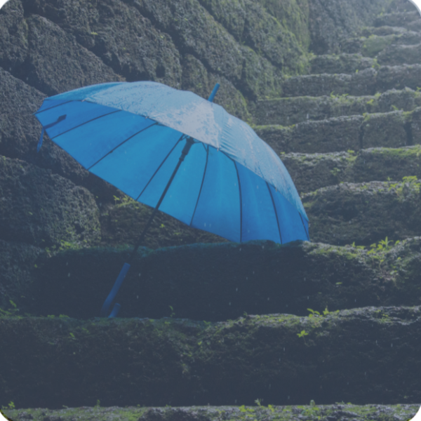 Image 2025 10 27 T04 09 20