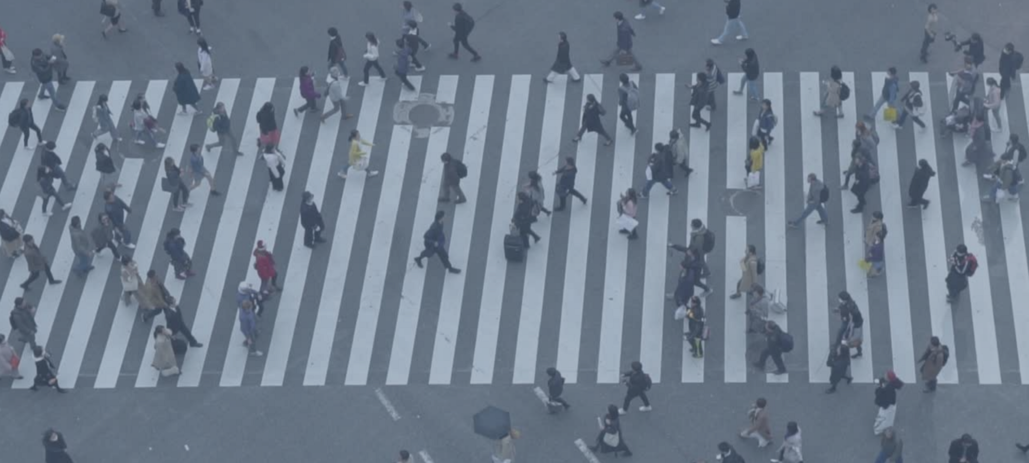 Image 2025 10 29 T05 47 50